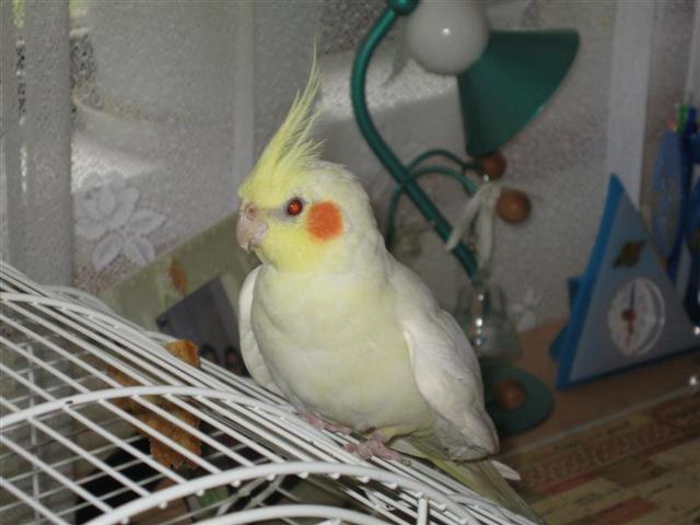 28.5.2006. 028.jpg